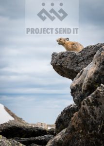 Pika