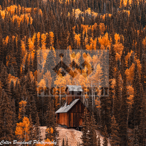 Autumn Mine Colter