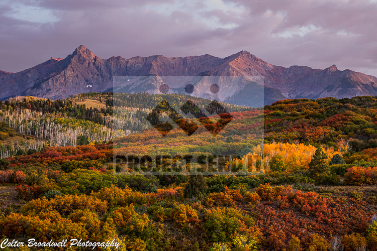 Fall Dallas Divide Colter