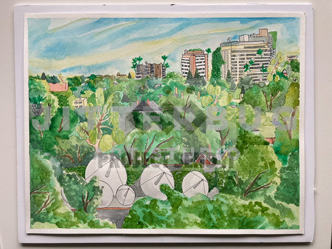 Urban_Jungle_2_Latasha