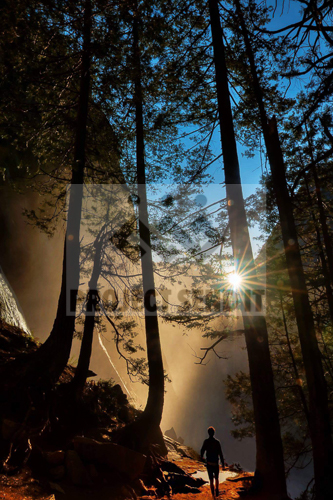 Wander Wonder_Fuller