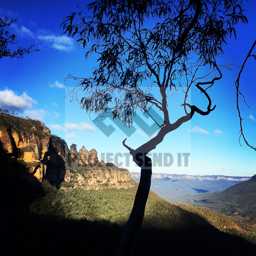 molly Sisters of the Blue Mountains